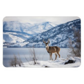 マングシカ マグネット (横)