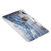 マングシカ マグネット (右側)