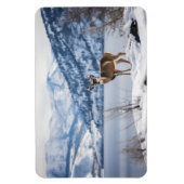 マングシカ マグネット (縦)