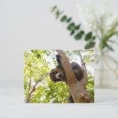 マングスムール ポストカード (スタンド正面)