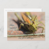 マングス・サーハ!GreshoppaのコーディネートCC0775 ポストカード (正面/裏面)