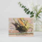 マングス・サーハ!GreshoppaのコーディネートCC0775 ポストカード (スタンド正面)