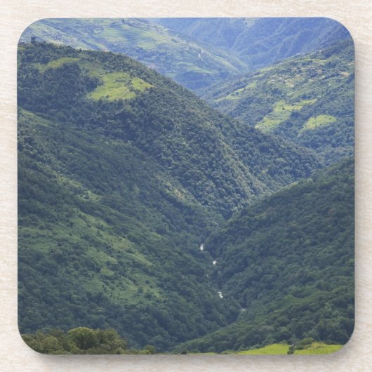 マングデュー渓谷の農地とヒマラヤの森 コースター (正面)