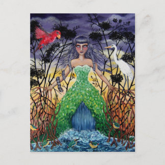 マングローブに絡まる ポストカード