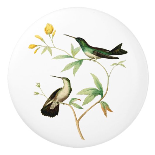 マングローブのハチドリ セラミックノブ (正面)