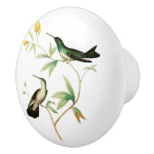 マングローブのハチドリ セラミックノブ (右)