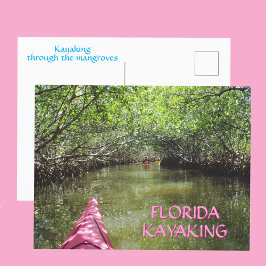 マングローブの森をカヤックで Floridaアドベンチャー ポストカード