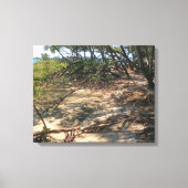 マングローブの砂道 キャンバスプリント (正面)