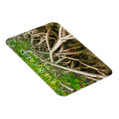 マングローブスティルルーツ、湿地、エバーグレーズ マグネット (右側)