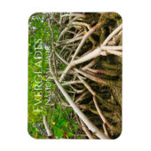 マングローブスティルルーツ、湿地、エバーグレーズ マグネット (縦)
