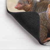 マングース マウスパッド (コーナー)