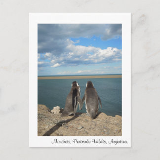 マンコット ポストカード