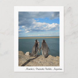 マンコット ポストカード