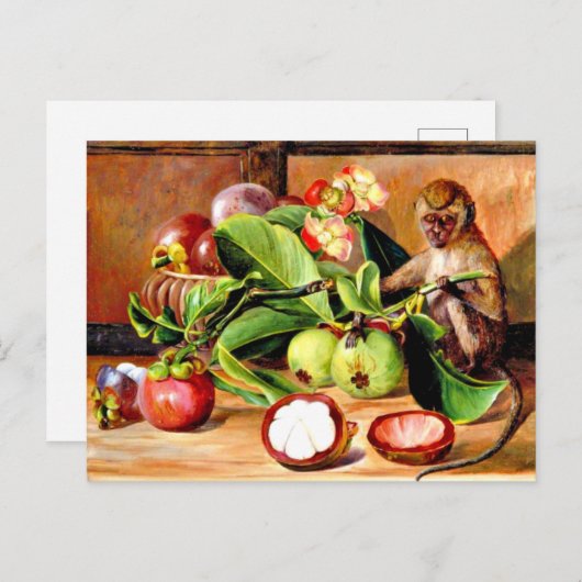 マンゴスチンの花と果実； Singapore Monkey, ポストカード (正面/裏面)