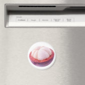 マンゴスチン半 マグネット (インサイチュ (食洗機))