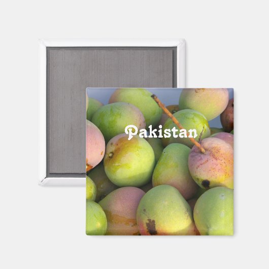 マンゴス マグネット (正面/裏面)