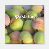 マンゴス マグネット (正面)