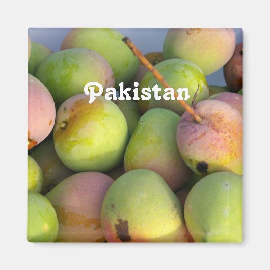 マンゴス マグネット (正面)