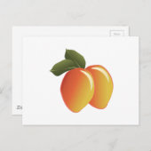 マンゴフルーツ ポストカード (正面/裏面)