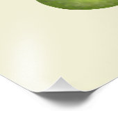 マンゴーとアボカド フォトプリント            (角)