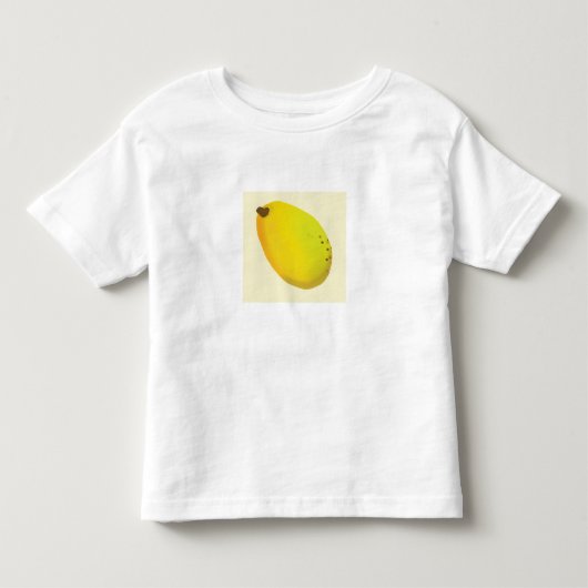 マンゴーのホワイトTシャツ トドラーTシャツ (正面)
