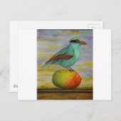 マンゴーの上のマグピー ポストカード (正面/裏面)