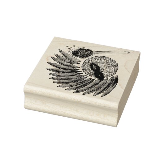 マンゴーもち米デザートタイ料理 ラバースタンプ (スタンプ)