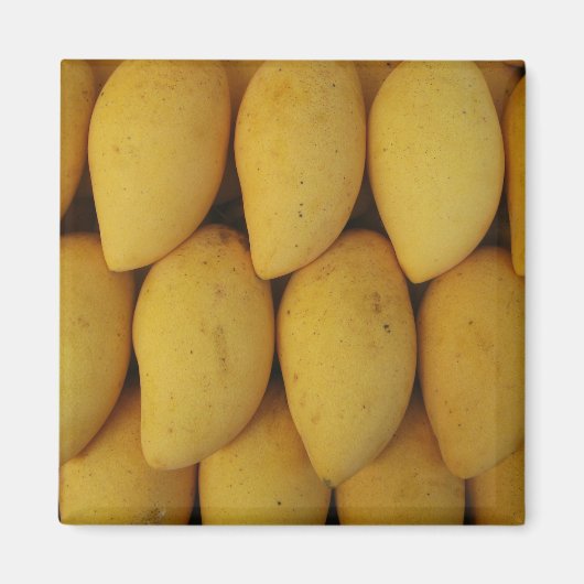 マンゴー マグネット (正面)