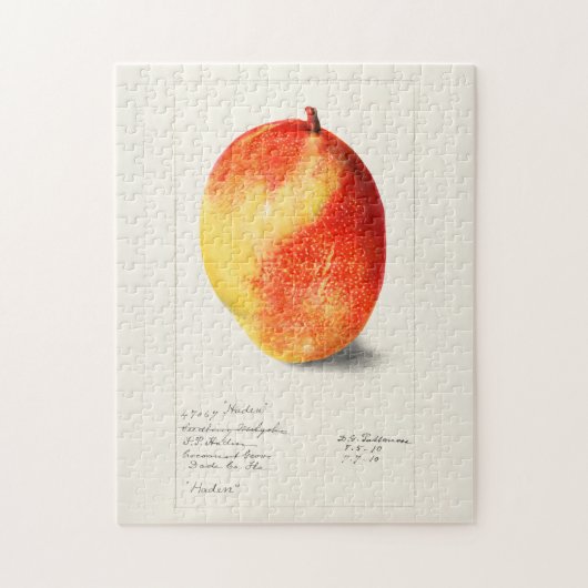 マンゴー(Mangifera Indica)フルーツウォーター絵画カラー ジグソーパズル (縦)