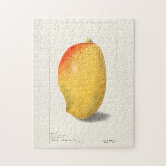 マンゴー(Mangifera Indica)フルーツウォーター絵画カラー ジグソーパズル (縦)