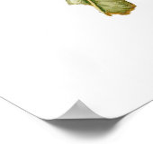 マンゴ ポスター (角)