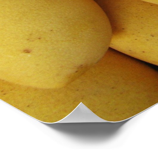 マンゴ ポスター (角)