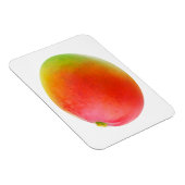 マンゴ マグネット (右側)