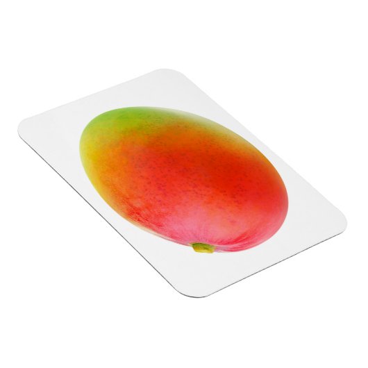 マンゴ マグネット (右側)