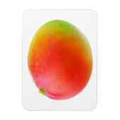 マンゴ マグネット (縦)