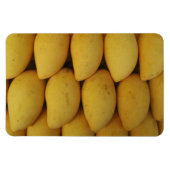 マンゴ マグネット (横)