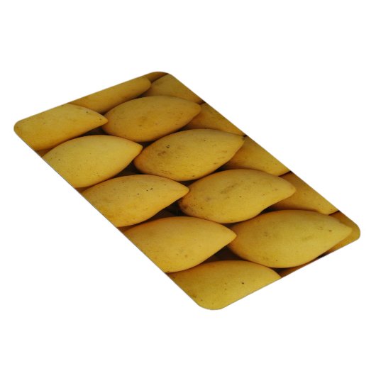 マンゴ マグネット (右側)