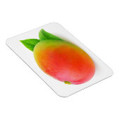 マンゴ マグネット (右側)