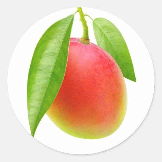 マンゴ ラウンドシール (正面)