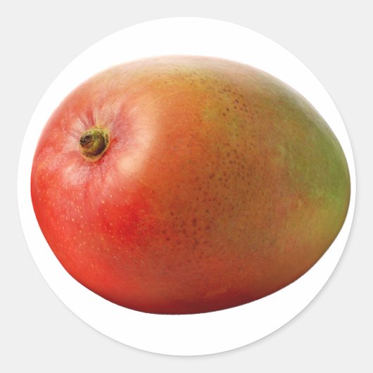 マンゴ ラウンドシール (正面)