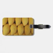 マンゴ ラゲッジタグ (裏面横)