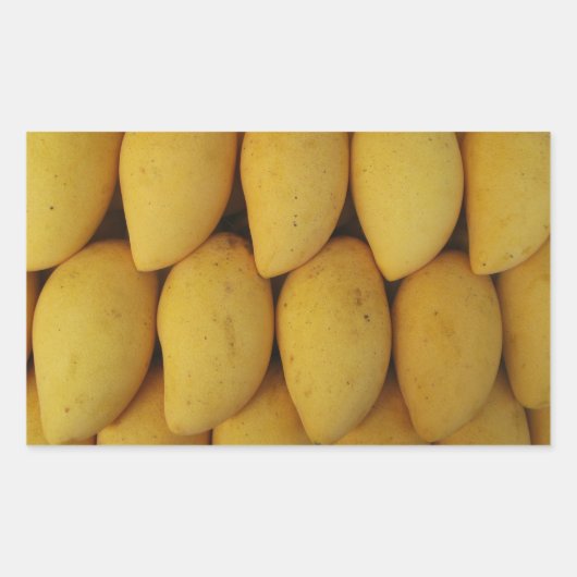 マンゴ 長方形シール (正面)