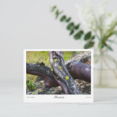 マンサニタプリント ポストカード (スタンド正面)