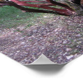 マンザニタの木 ポスター (角)