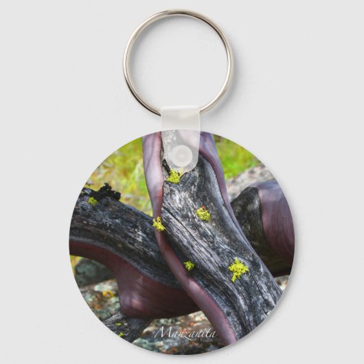 マンザニタキーチェーン キーホルダー (正面)