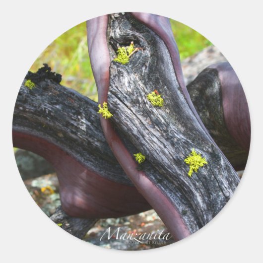 マンザニタステッカー ラウンドシール (正面)