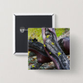 マンザニタボタン 缶バッジ (正面&裏面)