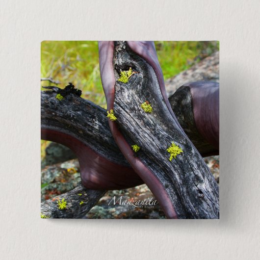 マンザニタボタン 缶バッジ (正面)