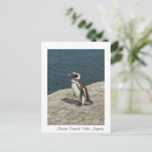 マンショット ポストカード (スタンド正面)