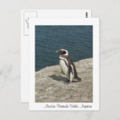 マンショット ポストカード (正面/裏面)